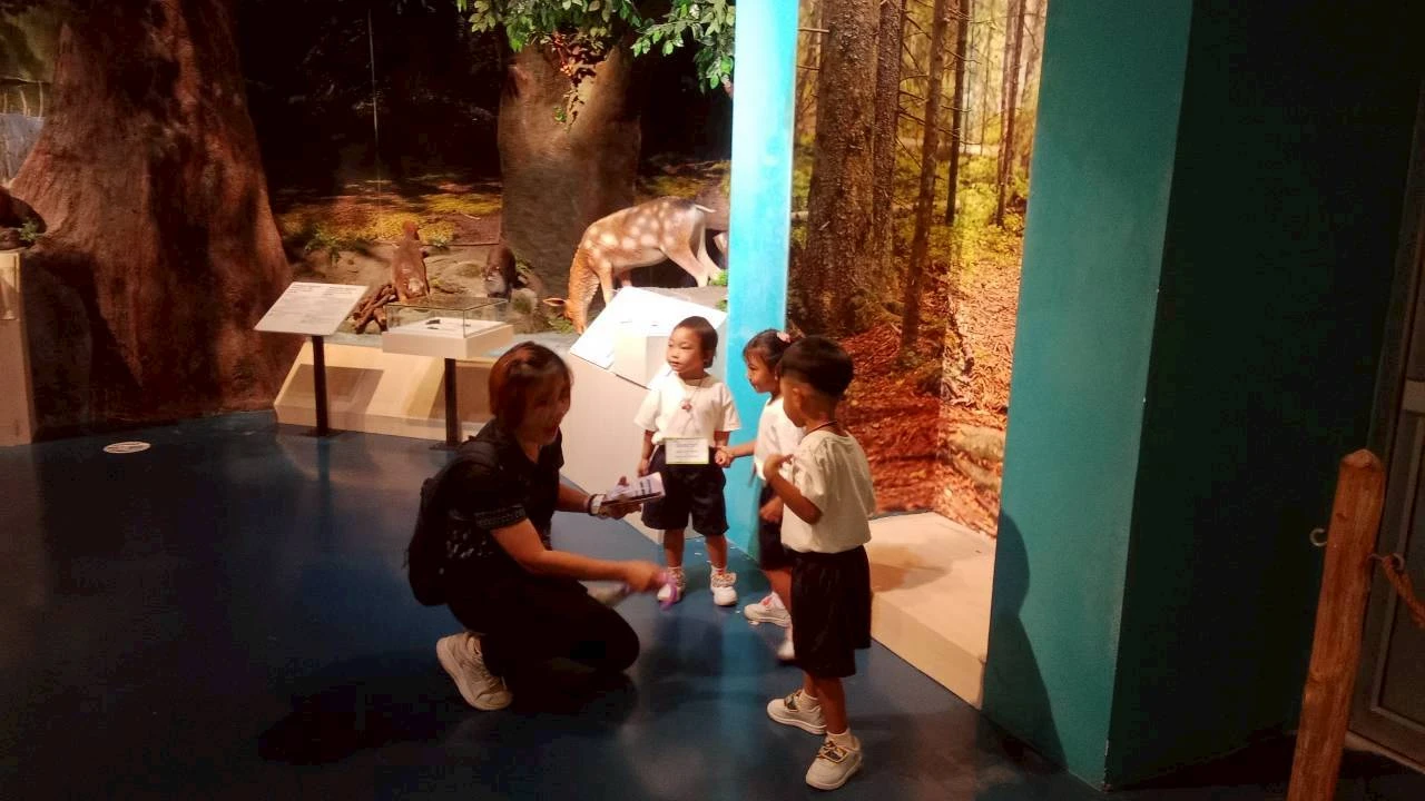 catalogs_file_63_53_29_146481.webp